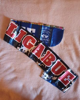 Fascia Ligabue