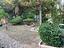 Immagine 15