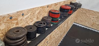 bilancieri e dischi palestra