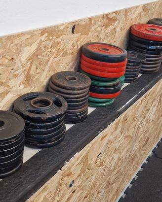 bilancieri e dischi palestra