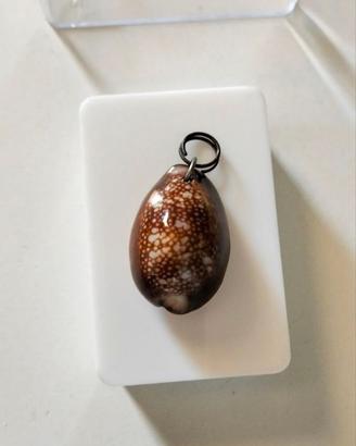 Ciondolo di Conchiglia di Ciprea