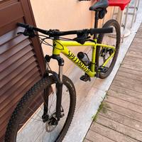 Mtb Specialized 29