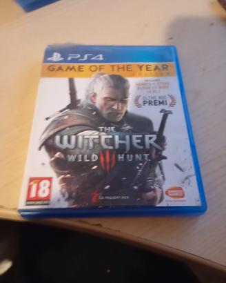 the witcher 3 ( game of the year edition)