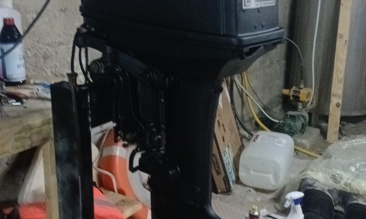 Fuoribordo suzuki 25cv