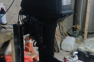 Fuoribordo suzuki 25cv