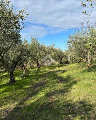 TER. AGRICOLO A SANT'AGATA DE' GOTI