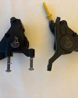 Pinze freni Campagnolo Chorus 12 disk brake