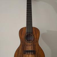 Kala KA-CM-C Curly Mango