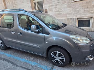 Peugeot Partner 2009 1.6 HDI