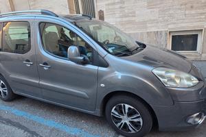 Peugeot Partner 2009 1.6 HDI