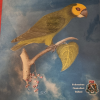 Libri pappagalli ornitologia