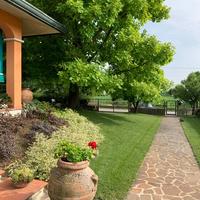 Villa a San Giorgio delle Pertiche (PD) - Cavino