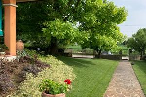 Villa a San Giorgio delle Pertiche (PD) - Cavino