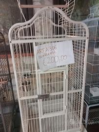 gabbie x pappagalli nuova 3714478020