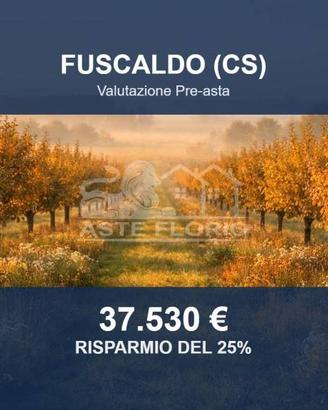 Immobile in asta di 9047 m² a Fuscaldo