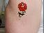 Immagine 6