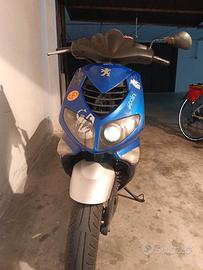 Pegeout x fight 50cc