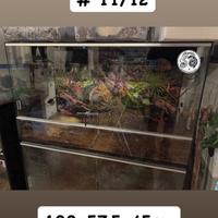 N12. Teca In Vetro + Tappetino + Termostato e Luci