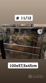 N12. Teca In Vetro + Tappetino + Termostato e Luci