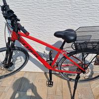 ebike Trek