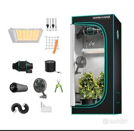box piante indoor