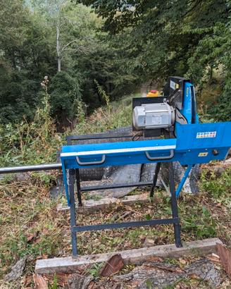 sega circolare elettrica tagliatronchi