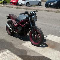 Suzuki Cafe' race