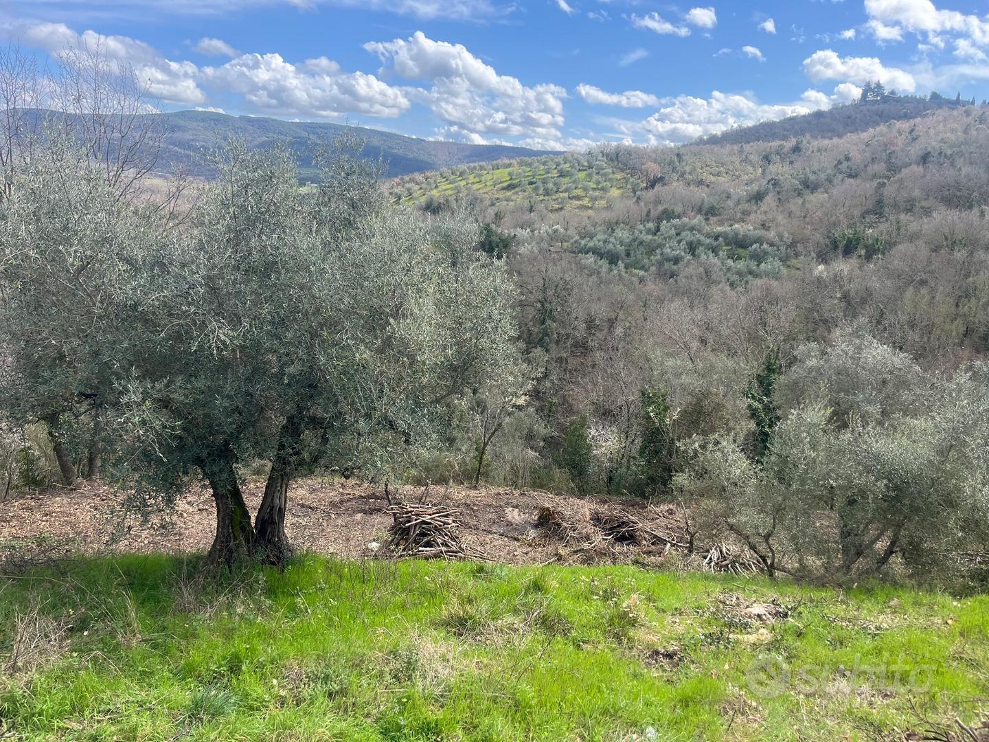 Rustico +terreno in umbria - Vista 5