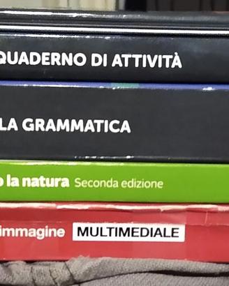 Libri scuola media