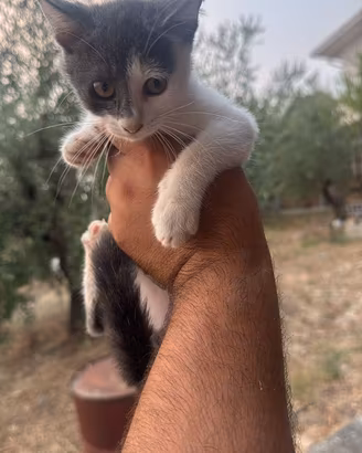 Disponibili da subito