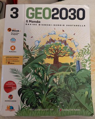 libro di geografia terza media 
