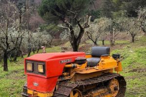 Trattore cingolato ITMA Nike 351L