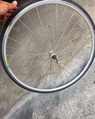 mavic xp 21  campagnolo 9v 