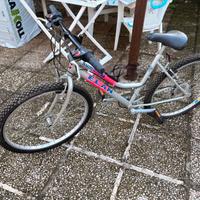 Bici Shimano 