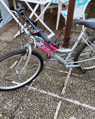 Bici Shimano 