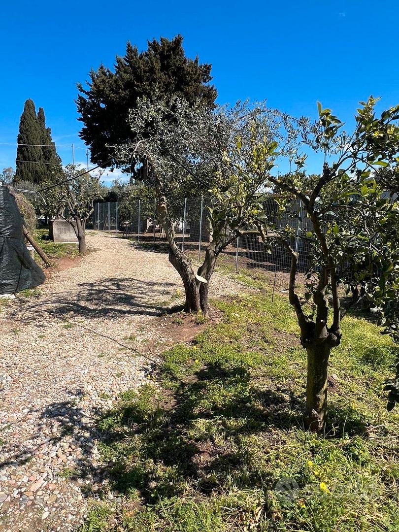 Quartucciu, Is Concias, terreno edificabile - Vista 5