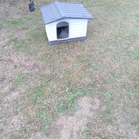Cuccia per cani o gatti