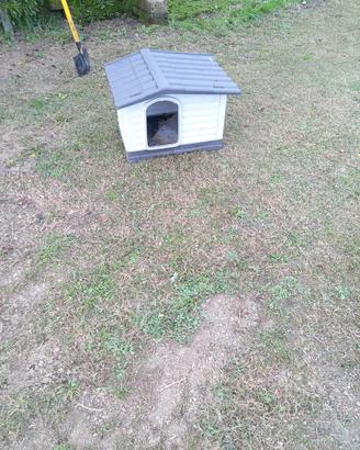 Cuccia per cani o gatti