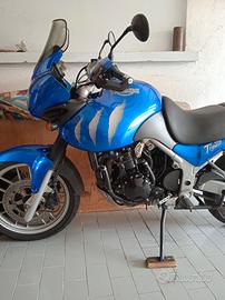 Triumph Tiger - 2006
