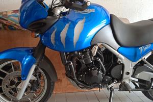 Triumph Tiger - 2006