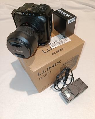 Panasonic BGH1+12-60 3.5/5.6