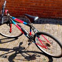 Mountain Bike Viscontea  - ruote da 26"