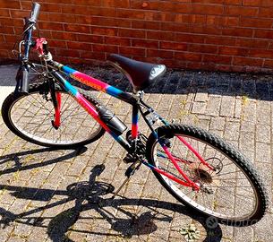 Mountain Bike Viscontea  - ruote da 26"