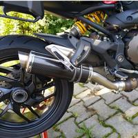 Thunder Carbon Roadsitalia Ducati Monster 821