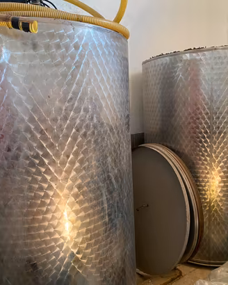 Botti /Tini in acciaio inox da 1000 lt.