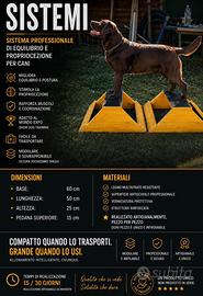 SISTEMI® – Professional Dog Balance System