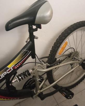 Bicicletta
