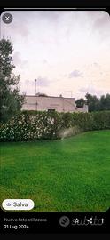 Villa vista mare ( prezzo trattabile) no agenzie
