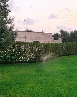 Villa vista mare ( prezzo trattabile) no agenzie