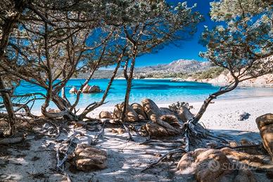 Murta Maria Porto Istana appartamento con giardino